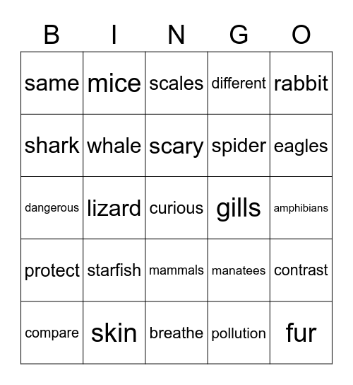 Oxford Discovery 2/ Unit 1 Bingo Card