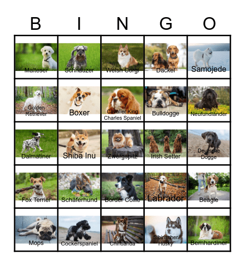 Hunderassen Bingo Card