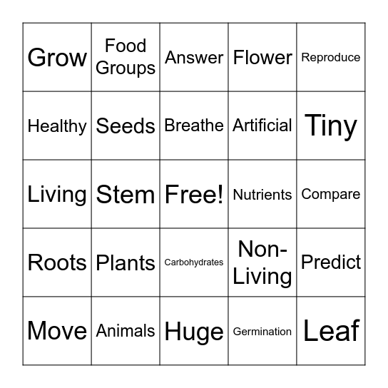 Vocabulary Bingo Card