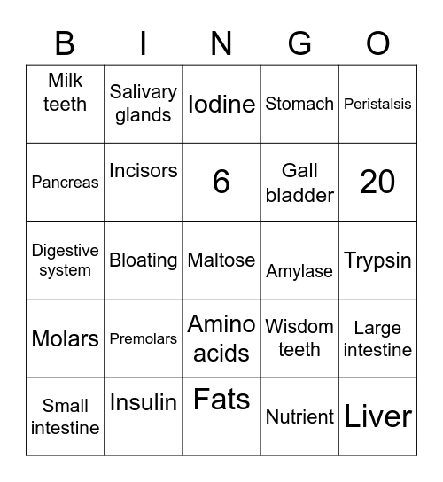 Digestive System Bingo Card