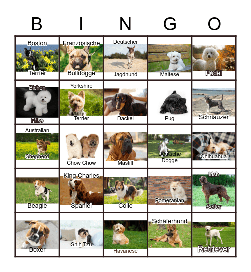 Dogs Bingo Card