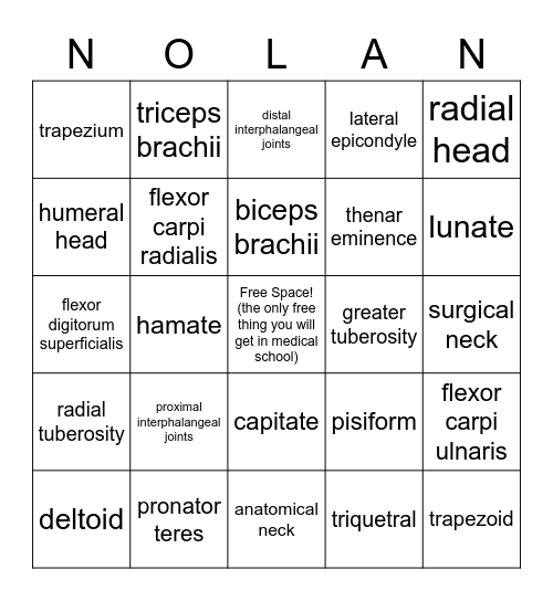 Nolan! Arm Anatomy Bingo Card