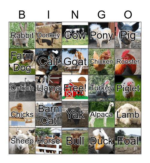 Farm Animal Bingo Card