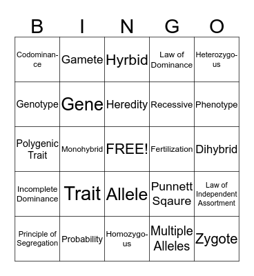 Genetics Vocabulary  Bingo Card