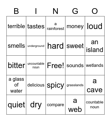 PRM 3 Units 4-6 review Bingo Card