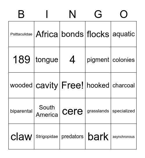 Psittaculidae Bingo Card