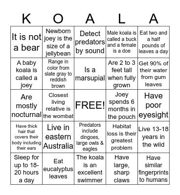 Koala Fun Facts Bingo Card