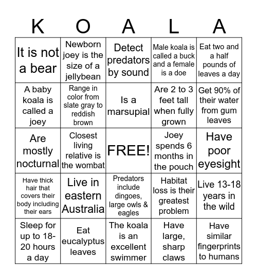 Koala Fun Facts Bingo Card