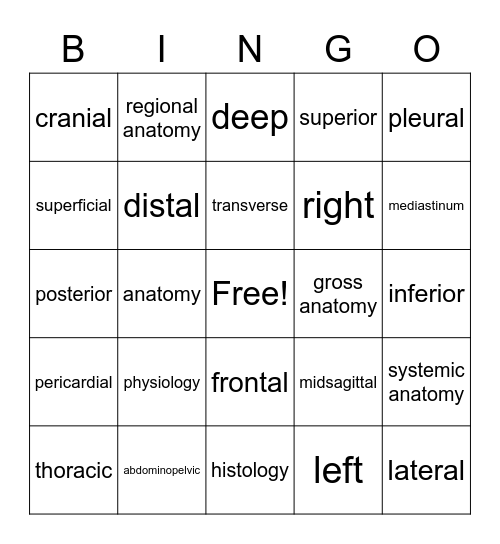 Introduction to Anatomy Bingo Card