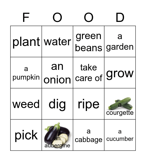 PRM 4 Unit 2 Fresh Food Bingo Card