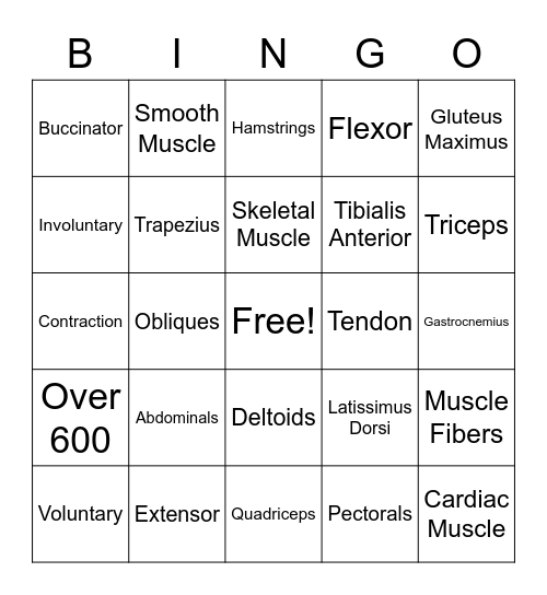 Muscular System Bingo Card