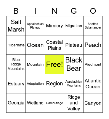 Georgia Regions BINGO Card