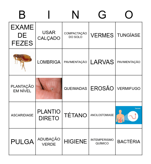 SOLO Bingo Card