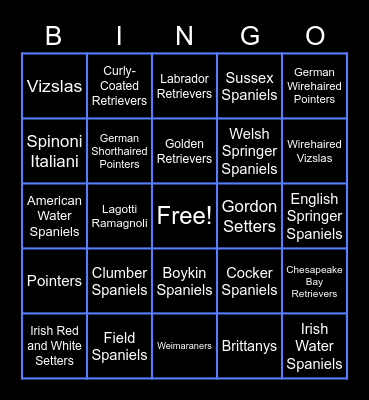 Sporting Group Bingo Card