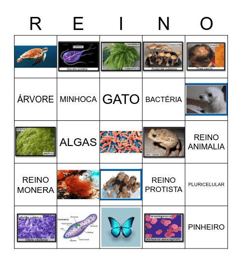 BINGO 5 REINOS Bingo Card