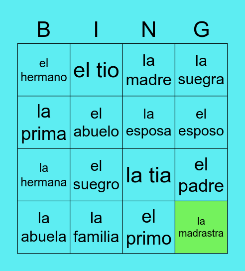 la familia 16 miembros Bingo Card