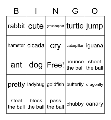 Star 2-4 Bingo Card
