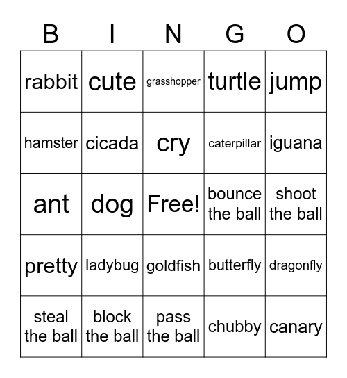 Star 2-4 Bingo Card