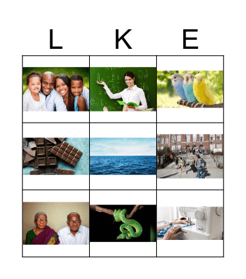 Todo acerca de mi Bingo Card