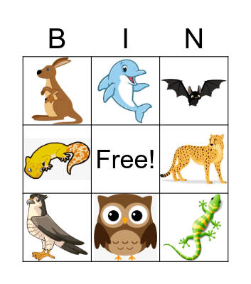 Animals Bingo Card