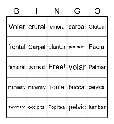 Body Regions Vocabulary Bingo Card