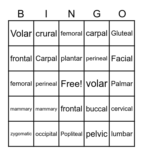 Body Regions Vocabulary Bingo Card