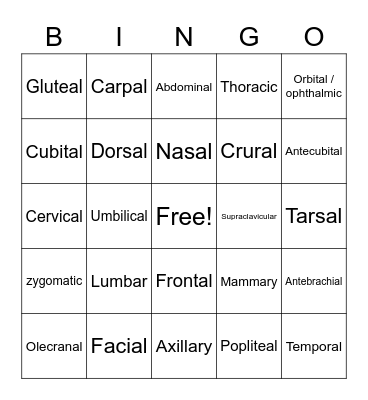 Body Regions Vocabulary Bingo Card