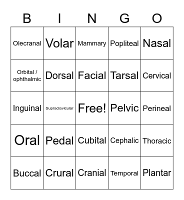 Body Regions Vocabulary Bingo Card