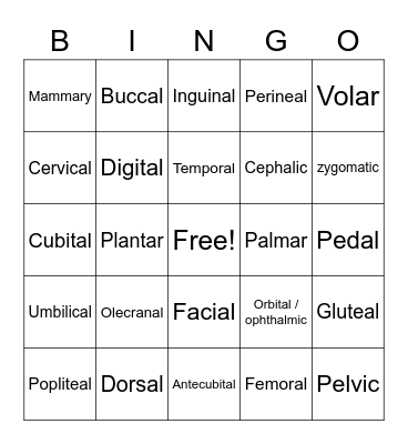 Body Regions Vocabulary Bingo Card