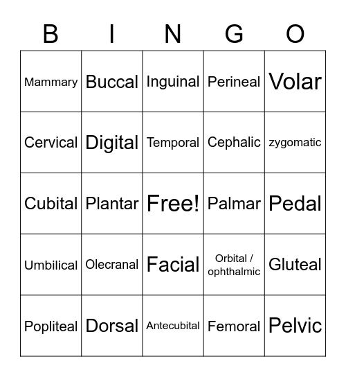Body Regions Vocabulary Bingo Card