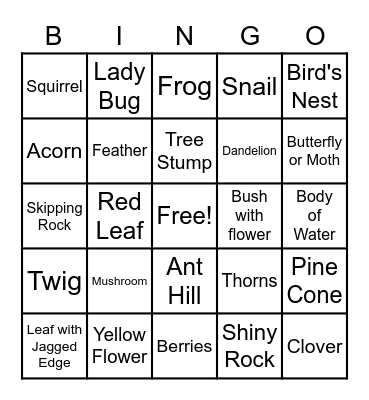 Burton's Nature Walk Bingo Card