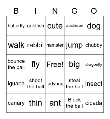 Star 2-4 Bingo Card