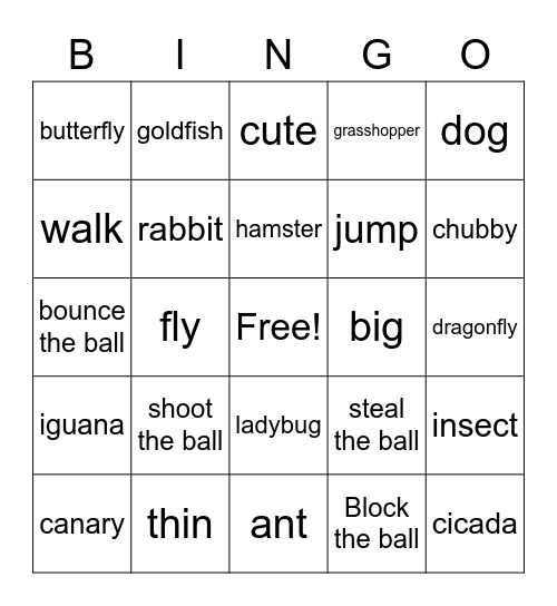 Star 2-4 Bingo Card