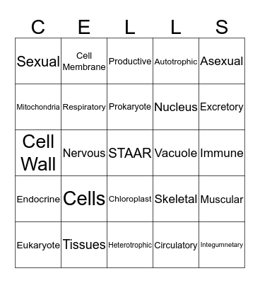 Cells and Organisms Bingo Card