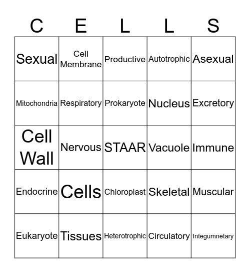 Cells and Organisms Bingo Card