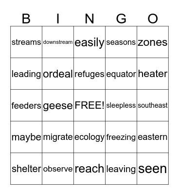 Long e Spelled e,ee,ea &vocabulary Bingo Card