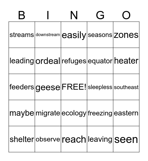 Long e Spelled e,ee,ea &vocabulary Bingo Card