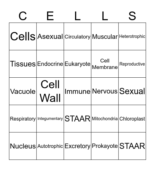 CELLS and ORGANISMS Bingo Card