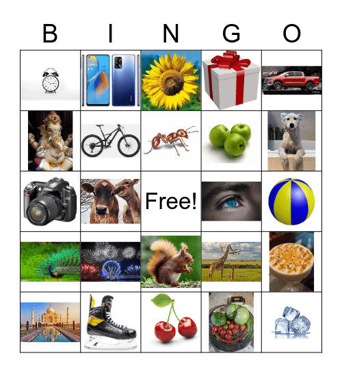 Tamil  Pictures Bingo Card