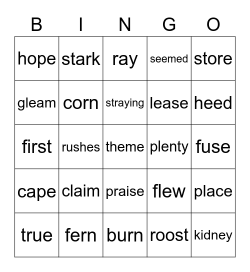 MacqLit Part D Revision 20-25 Bingo Card