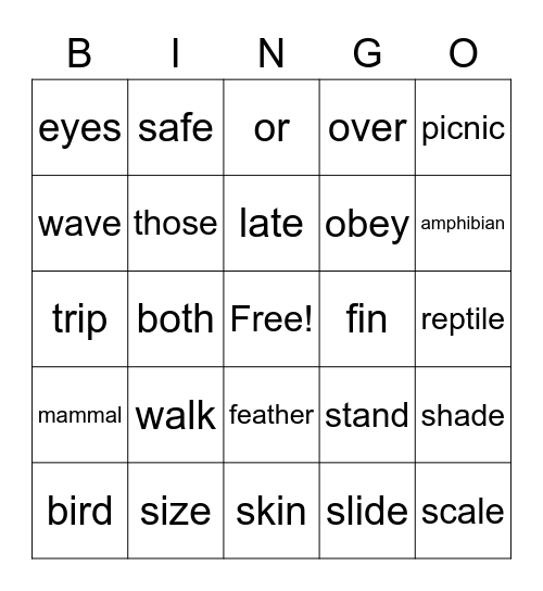 Animal Groups Bingo Card