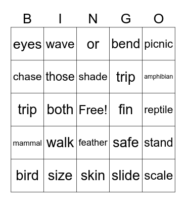 Animal Groups Bingo Card