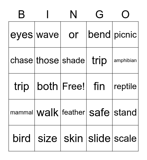 Animal Groups Bingo Card