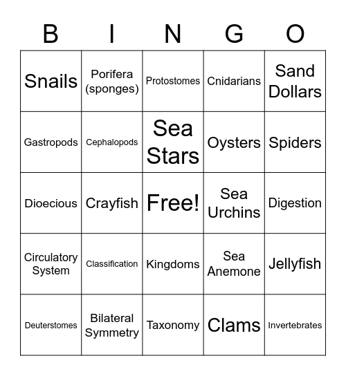 Zoology Introduction Bingo Card