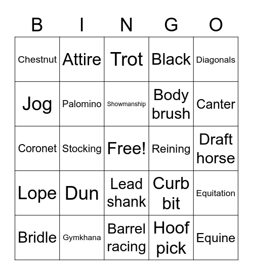 Horse Terms Bingo Card