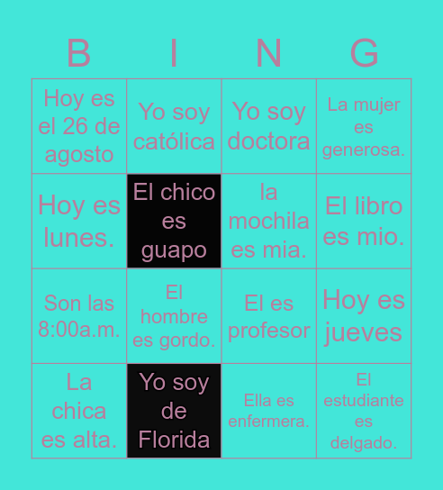 sentences with SER Bingo Card