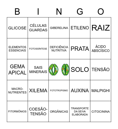 FISIOLOGIA VEGETAL Bingo Card