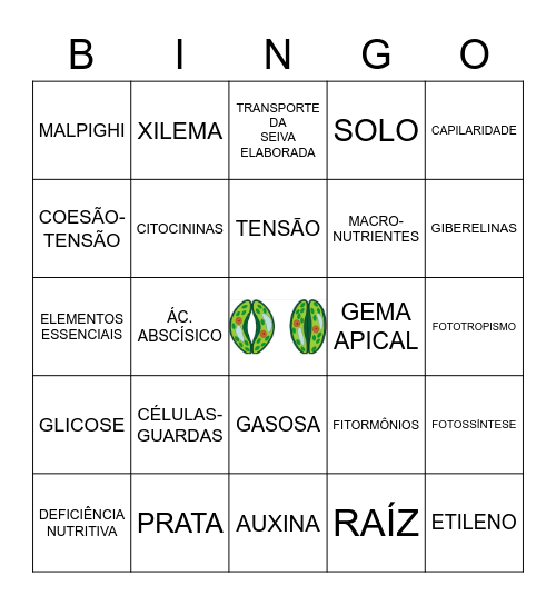FISIOLOGIA VEGETAL Bingo Card