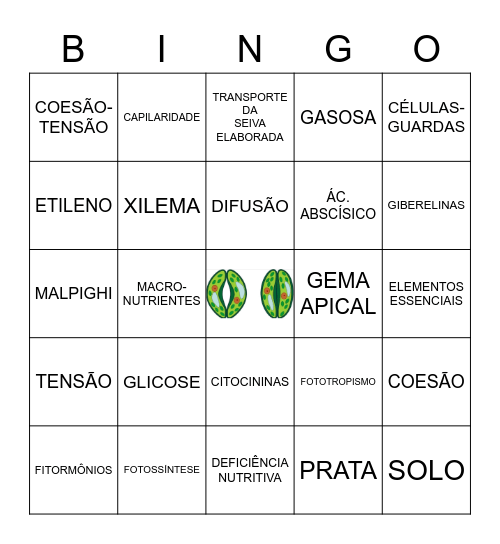 FISIOLOGIA VEGETAL Bingo Card
