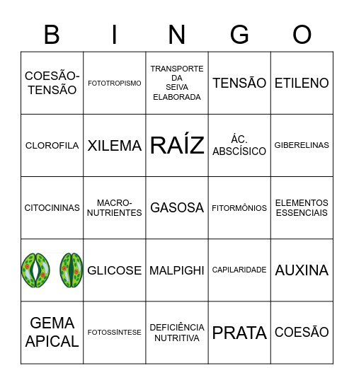 FISIOLOGIA VEGETAL Bingo Card